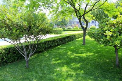 黃陂園林綠化工程與龍勝物業(yè) 攜手打造綠色生活空間